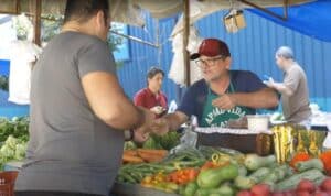 feira-agricultura familiar