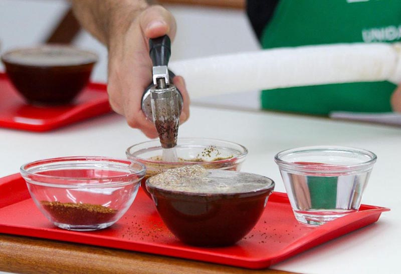 Concurso de qualidade do conilon de Linhares premiará produtoras Concurso de qualidade do conilon de Linhares premiará produtoras