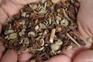 Mapa divulga marcas e lotes de café torrado impróprios para consumo