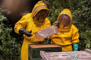 criadores de abelhas
