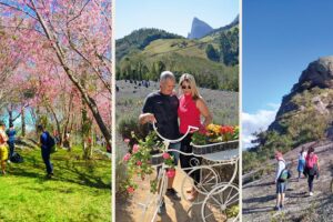 Anuário do Agro Capixaba 2025 vai destacar o turismo rural no ES Anuário do Agro Capixaba 2025 vai destacar o turismo rural no ES