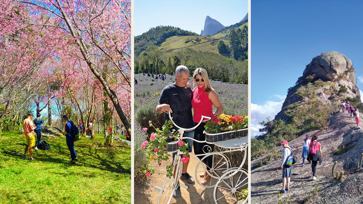 Anuário do Agro Capixaba 2025 vai destacar o turismo rural no ES