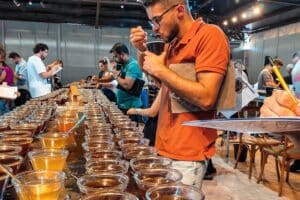 Novo protocolo revoluciona avaliação de cafés especiais no Brasil