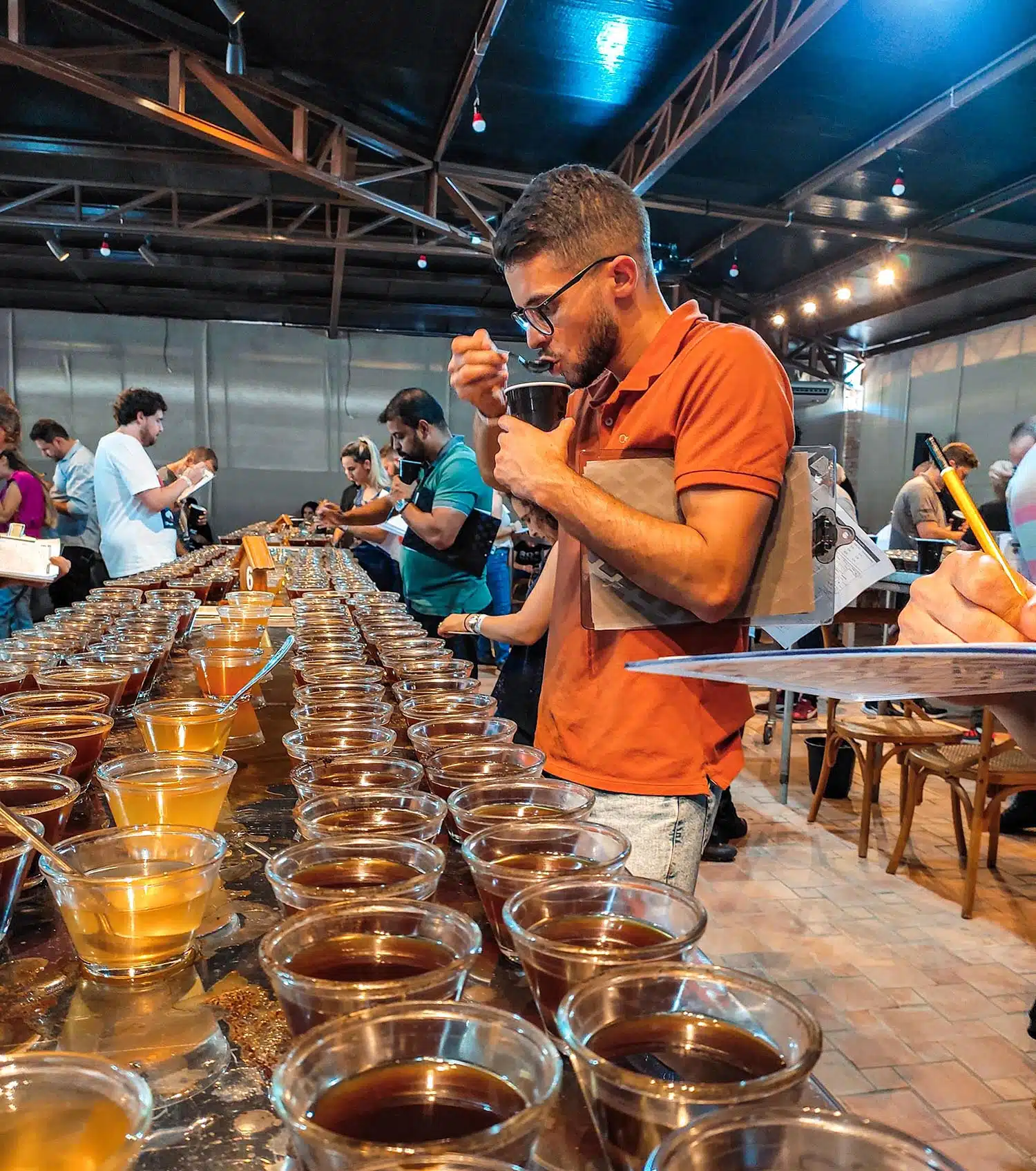 Novo protocolo revoluciona avaliação de cafés especiais no Brasil