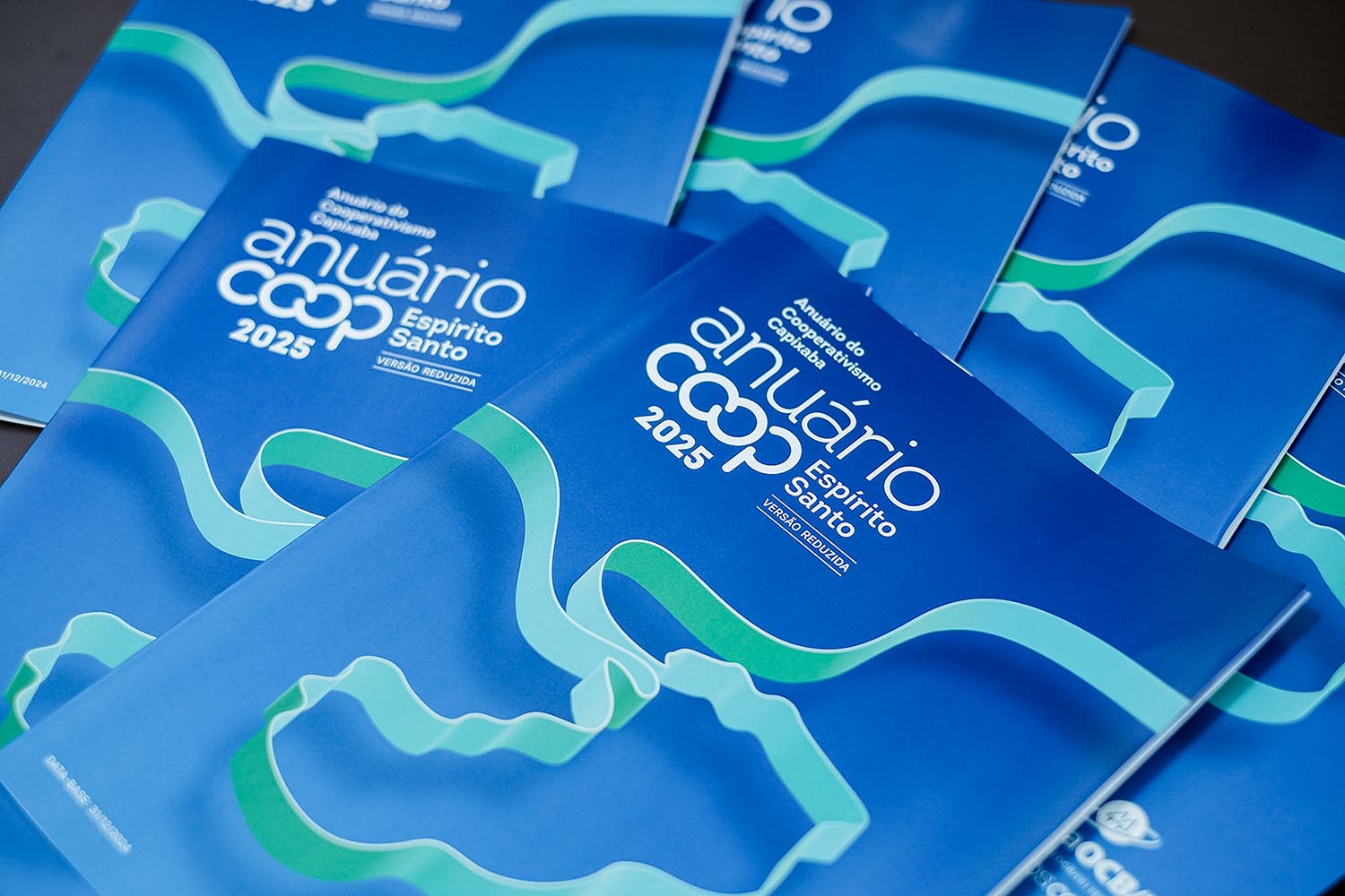 Cooperativas capixabas já movimentam R$ 16,9 bilhões, apontam dados