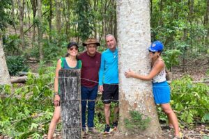 Fazenda transforma mogno africano em símbolo de sustentabilidade no ES Fazenda transforma mogno africano em símbolo de sustentabilidade no ES