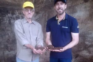 Esterco desidratado e esterilizado vira renda para avicultores