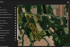 Do pinus ao pixel, o futuro sustentável que brota no Sul do Brasil Do pinus ao pixel, o futuro sustentável que brota no Sul do Brasil