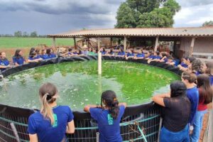 Inovação impulsiona transformação sustentável da aquicultura Inovação impulsiona transformação sustentável da aquicultura