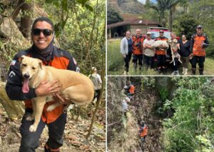 resgate de cadelinhas em Venda Nova