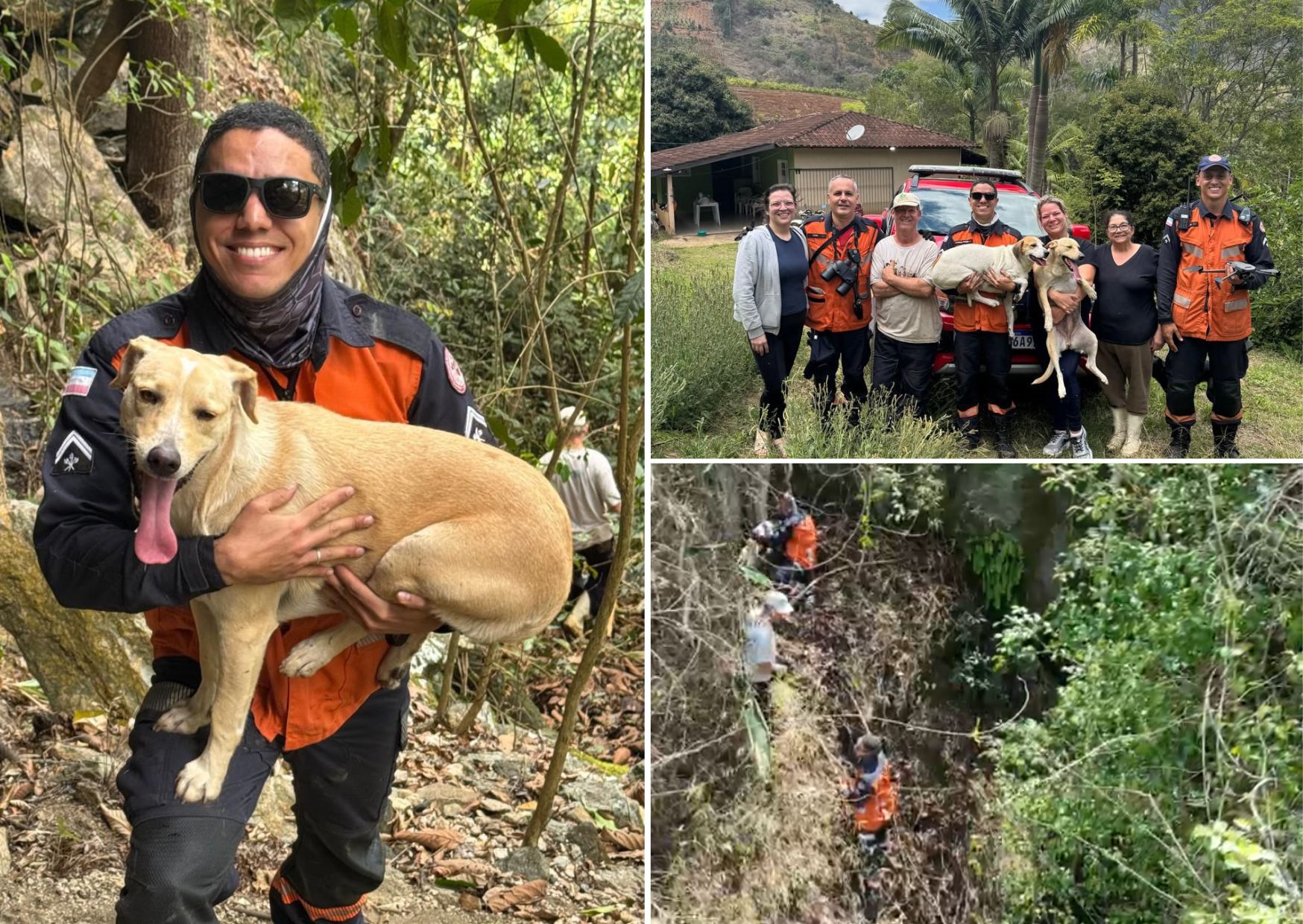 resgate de cadelinhas em Venda Nova