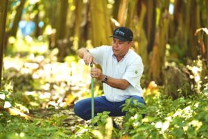 A matemática da irrigação: como cada gota pode render mais no campo