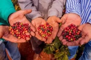 A identidade do Brasil passa pelo pequeno negócio A identidade do Brasil passa pelo pequeno negócio