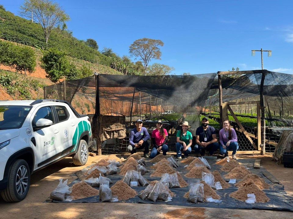 Experimento em Iúna testa substratos sustentáveis para o café