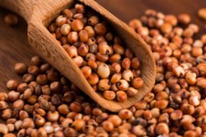 Brasil habilita locais para exportação de DDGs e sorgo à China Brasil habilita locais para exportação de DDGs e sorgo à China