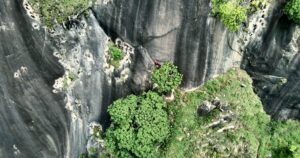 Resgate da cadelinha Mel