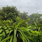 Chuva no ES temporal