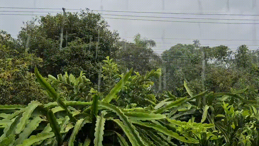 Chuvas Espírito Santo