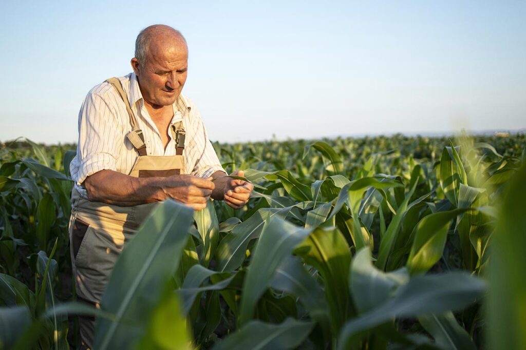 produtor rural-agricultor-