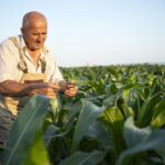 produtor rural-agricultor-