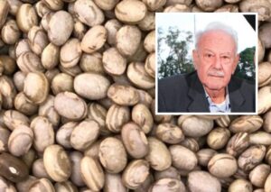 Pai do Feijão Carioquinha