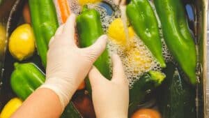 alimentos-segurança alimentar