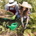 agricultura familiar