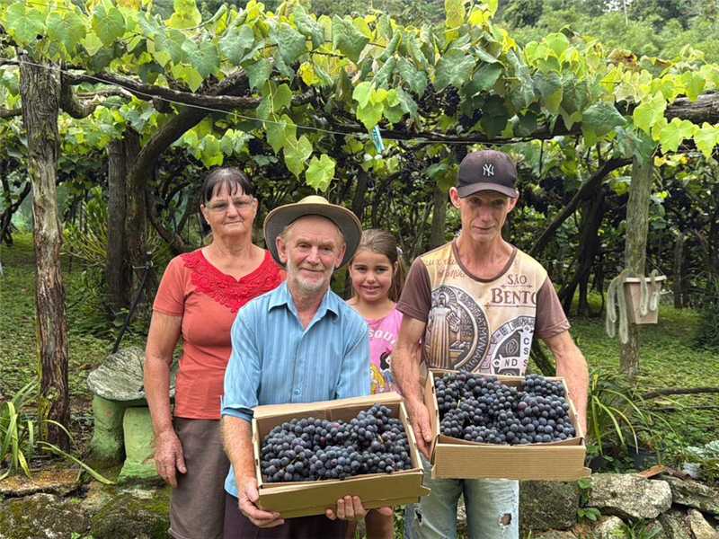 Festival da Uva e do Vinho