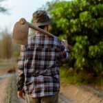 homem trabalhando-campo-trabalho