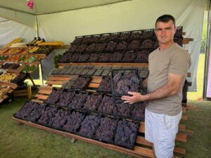 Festival da Uva e do Vinho,