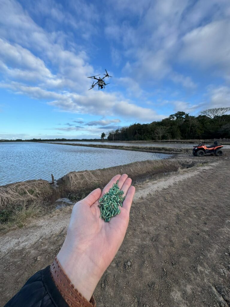 Drone arroz