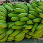Banana Ambrosia