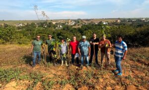plantio de mudas-Marataízes
