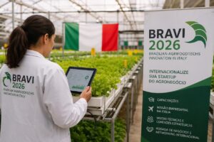 BRAVI 2026