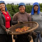 produtores e produtoras rurais