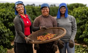 produtores e produtoras rurais