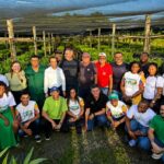 viveiro florestal a céu aberto
