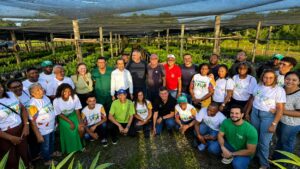 viveiro florestal a céu aberto