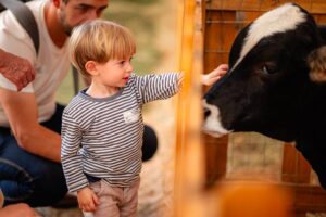 RuralturES-
