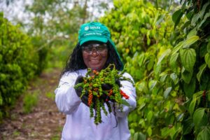 SenarES-pimenta-produtor rural