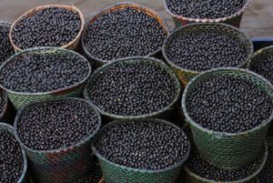 Nanofertilizante-Açaí_