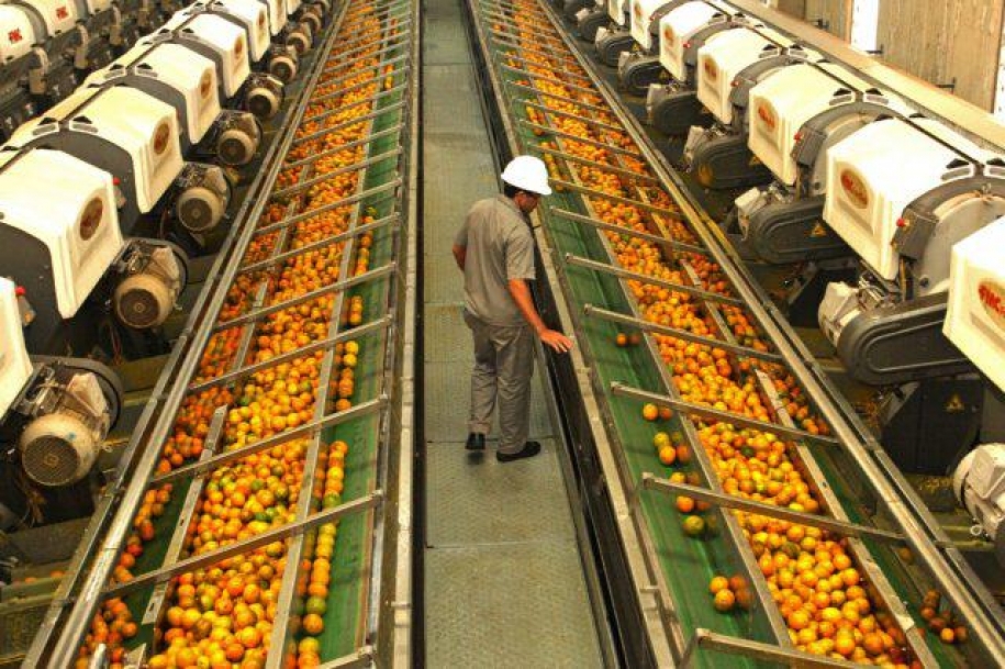 Pandemia faz Brasil dobrar exportações de frutas com vitamina C