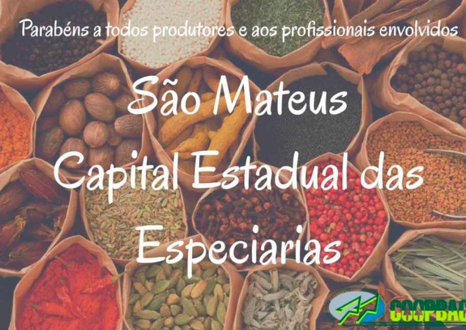 São Mateus é reconhecida como capital estadual das especiarias
