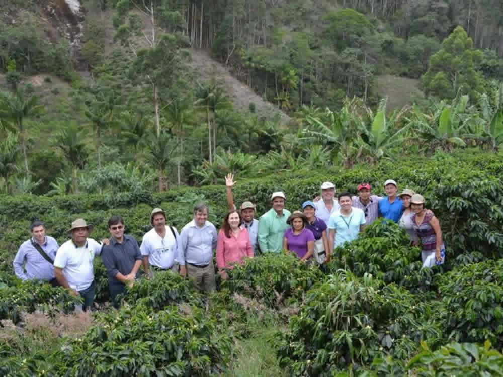 Cafeicultura capixaba impressiona comitiva do México