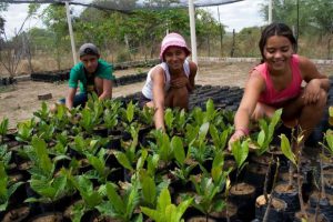 Plano amplia participação de jovens nas políticas públicas de meio ambiente