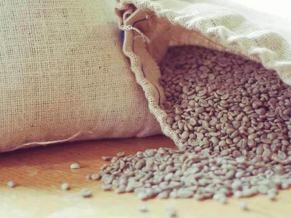 Governo aprova venda do estoque público de milho, arroz, café e trigo
