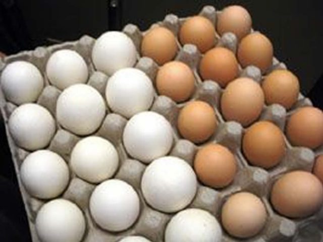 Mercado de ovos obtém nova alta no encerramento da semana