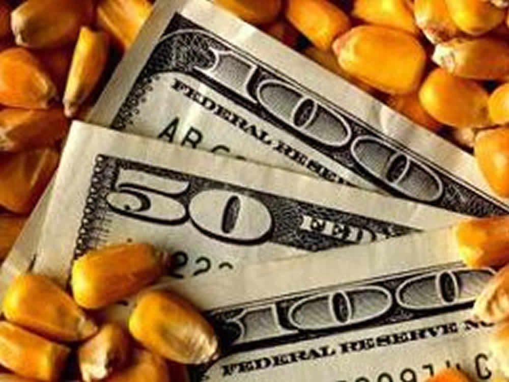 Milho sobe forte no fechamento da semana nos EUA – Análise Agrolink