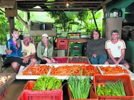 Agricultores familiares podem concorrer à Chamada Pública da alimentação escolar