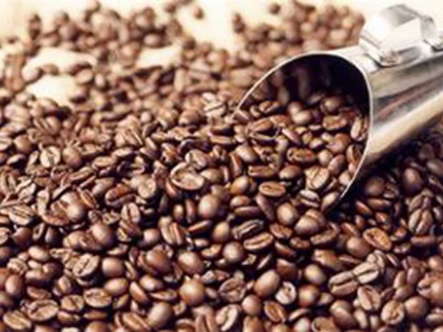 Fornecimento de nutrientes contribui para vigor de grãos de café